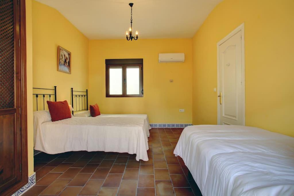 Duplex Centro Con Garaje Gratuito Apartment